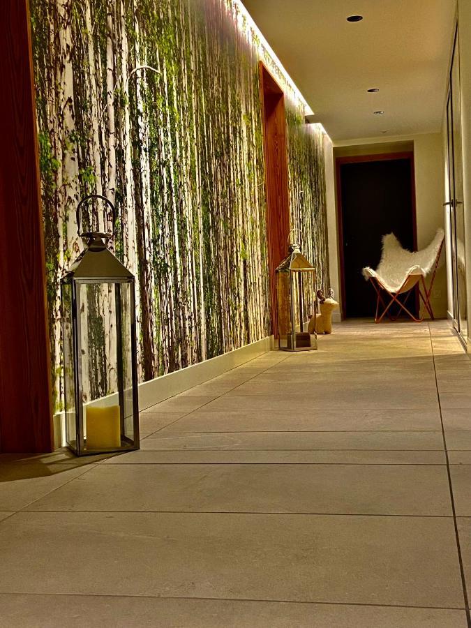 שאמוני Chalet Pleine Vue & Spa מראה חיצוני תמונה